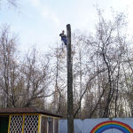 удалить деревья в детском саду