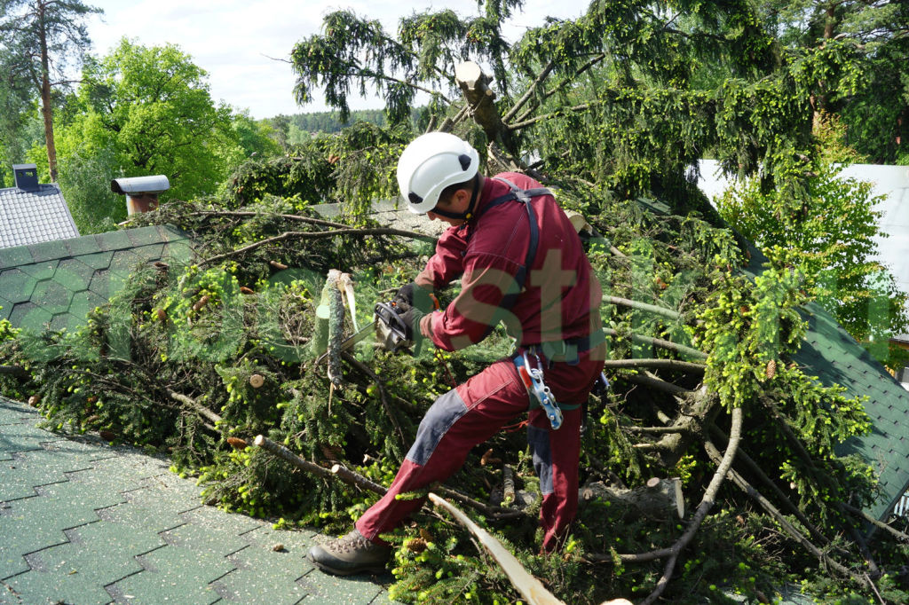 вырубка аварийных деревьев на участках