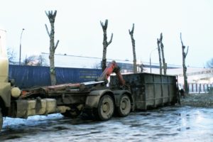 Удаление деревьев с вывозом