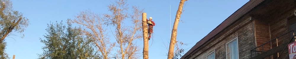Обрезка деревьев в городе Озёры